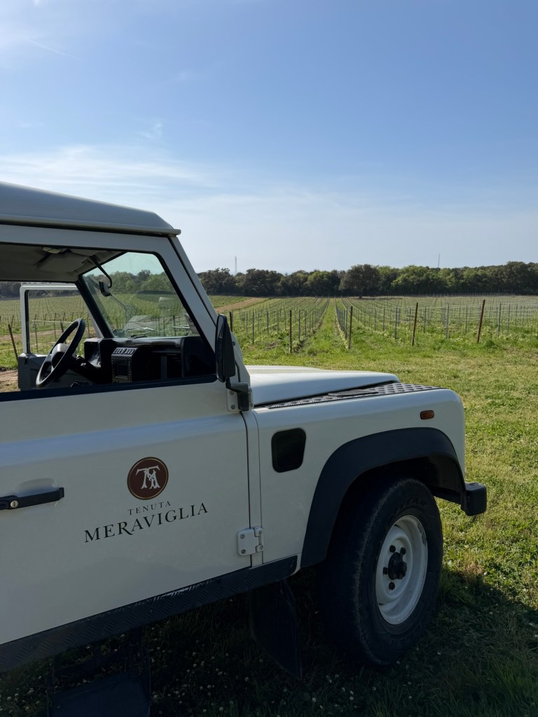 Take the jeep and discover the vineyards land of Tenuta Meraviglia in Tuscany